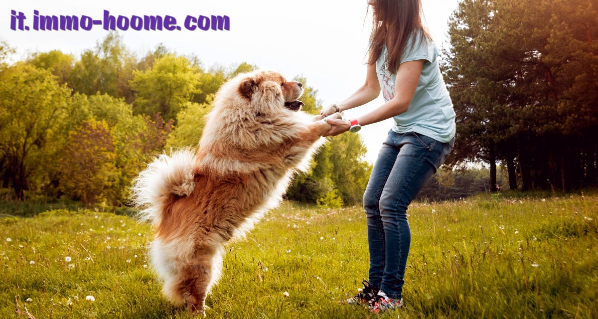 it.immo-hoome.com